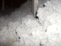 Cottage059