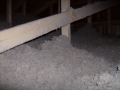 Cottage061