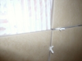 GardenStreet016