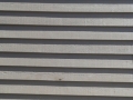 Th16